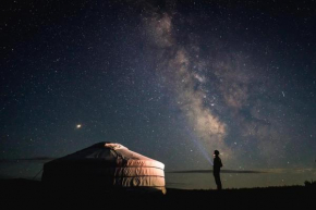 Kyzylkum Nights Camp & Family Yurt